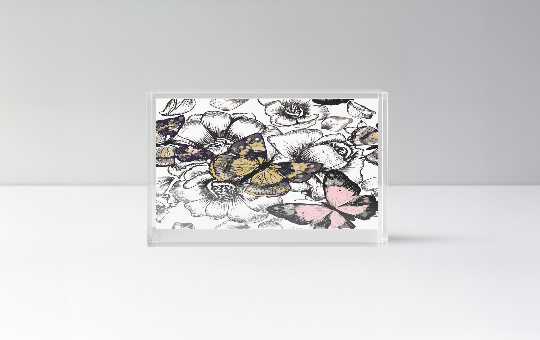 Butterflies / Animals