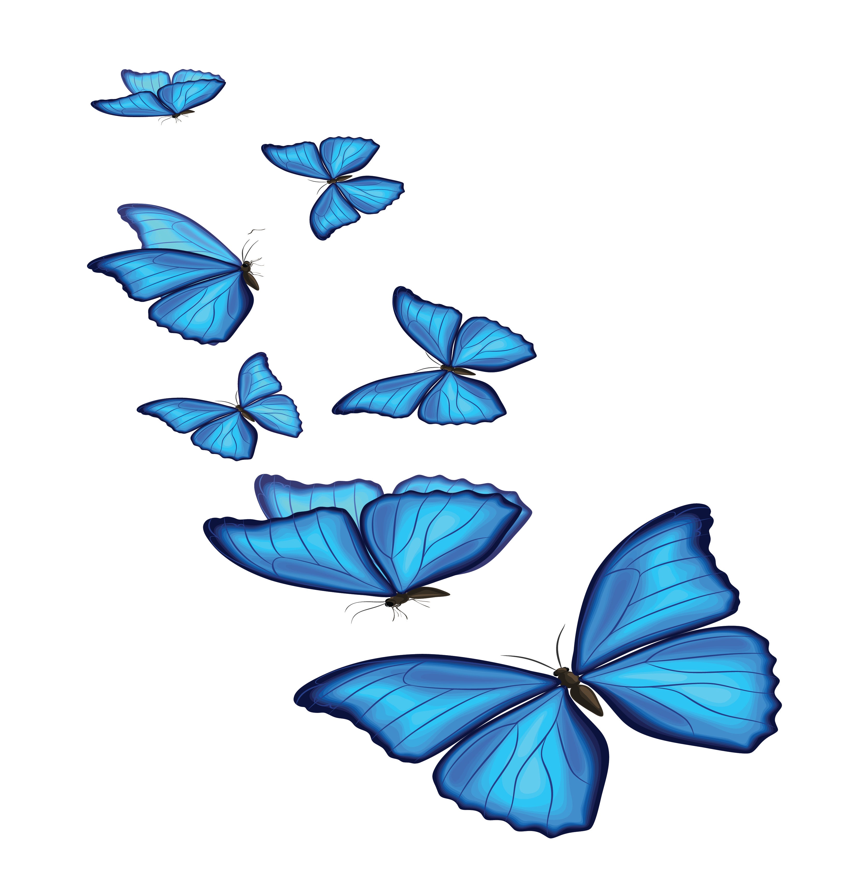 blue glitter butterflies.jpg