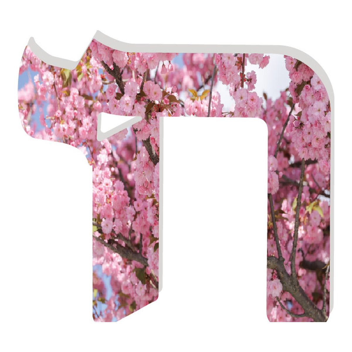 CHERRY BLOSSOM