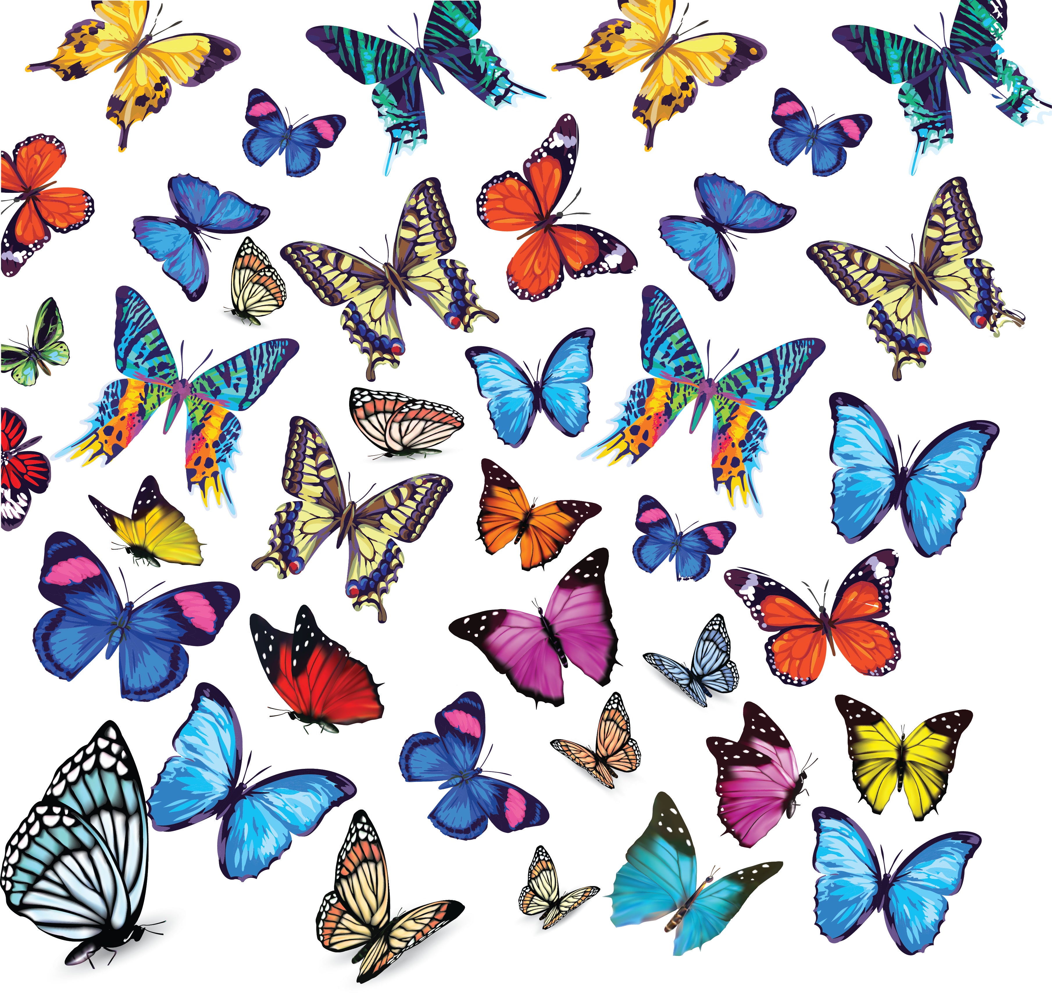 multi color Butterflies with glitter.jpg
